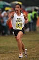 2010CIF XC GD2-2040